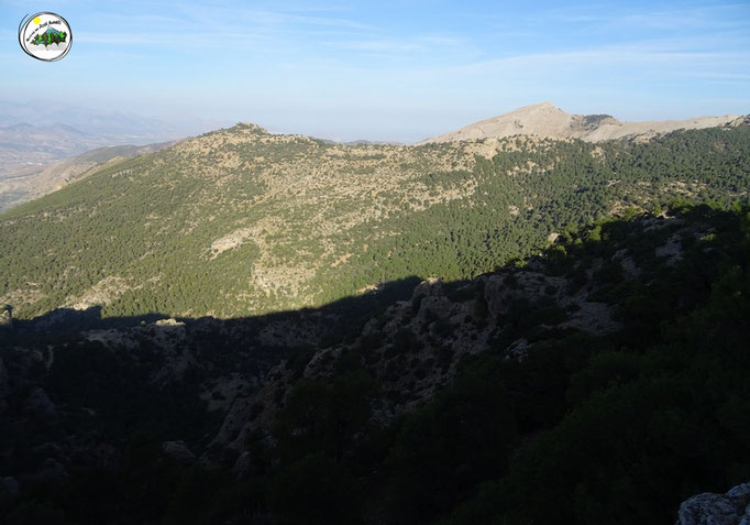 Cerro de Don Pedro y el Rayal