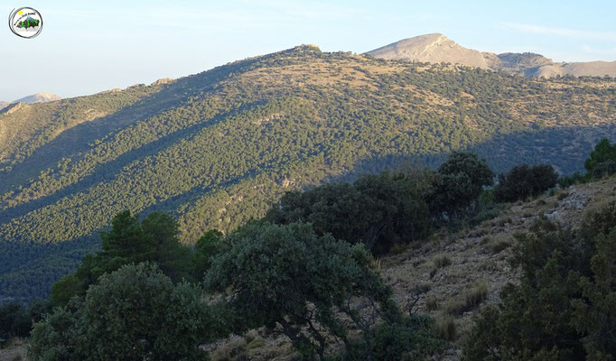 Cerro de Cuenca y el Rayal