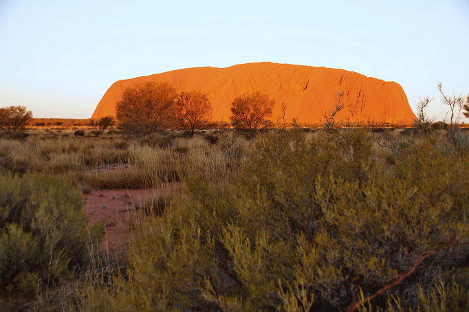 Der heilige Uluru, das Wahrzeichen Australiens im roten Zentrum.