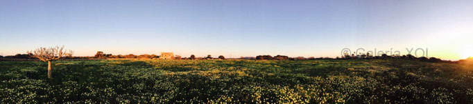 Jardín del Edén (Der Garten Eden) - Finca rural, Es Sivinar 