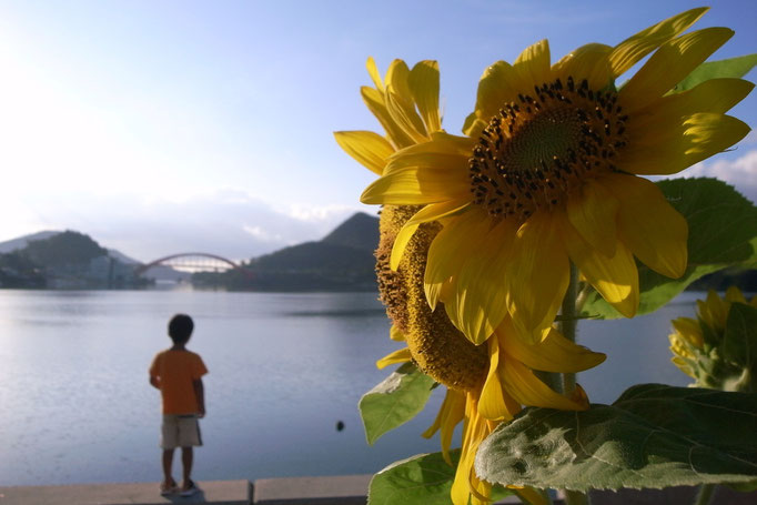 夏の朝・・・ 近所の男の子も誘ってラジオ体操しました。