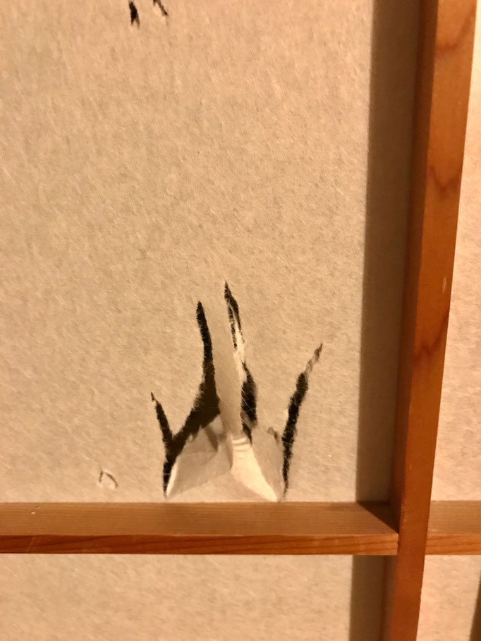 誰の仕業か私は知っている…笑