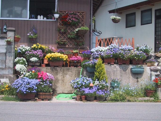 春は花がきれい・・・・な年もありましたっけ (^^ゞ