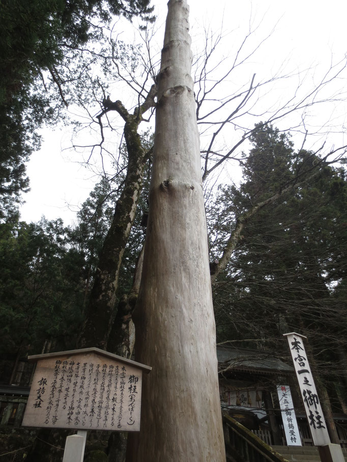 諏訪神社の一番柱