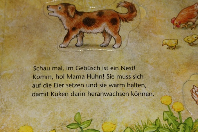 Bauernhof