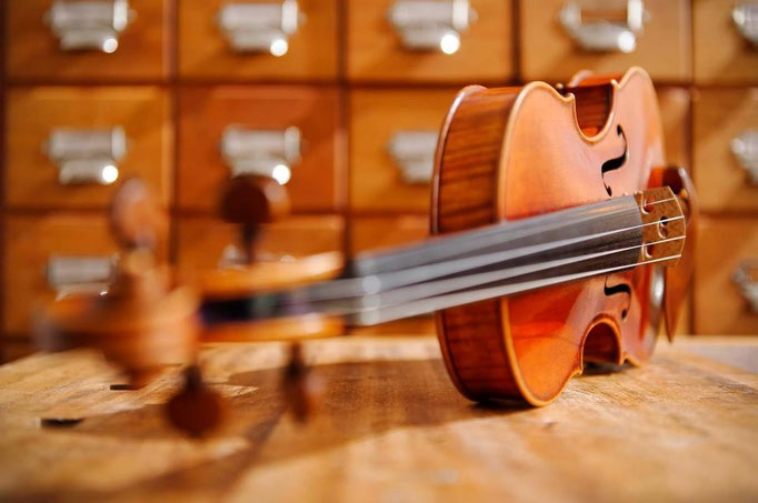 Meuwissen Viola © Rudi Van Beek, 2009