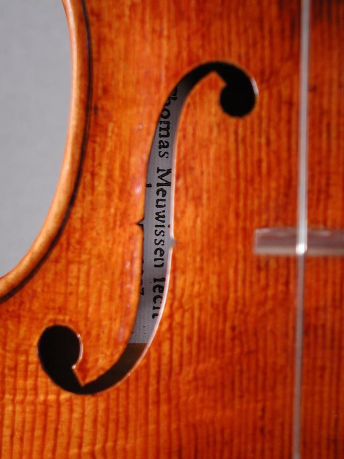 Detail Meuwissen Viola, 2009