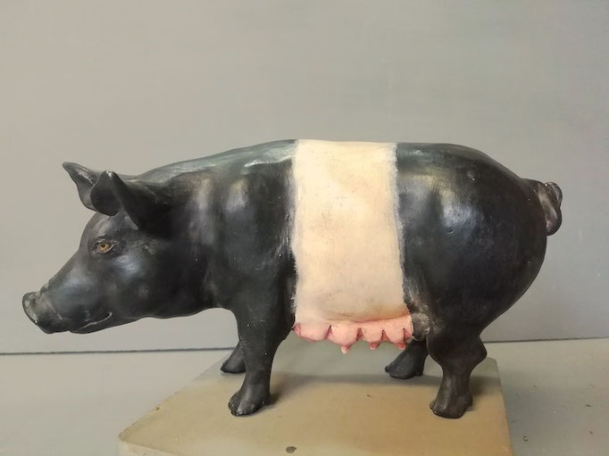 scrofa - costo Euro 150