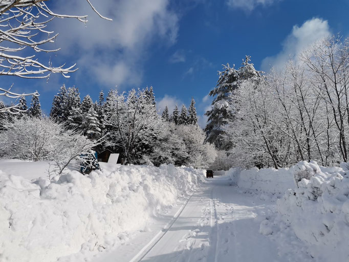 素晴らしい雪景色！この林道が冬は通行止めとなり、そこに雪のすべり台を作ります！