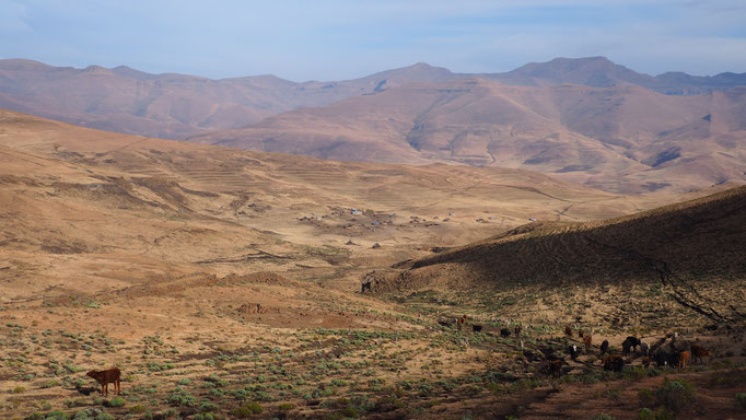 Environs du village de Thamatu ; Lesotho. Voyage Maxime Lelièvre