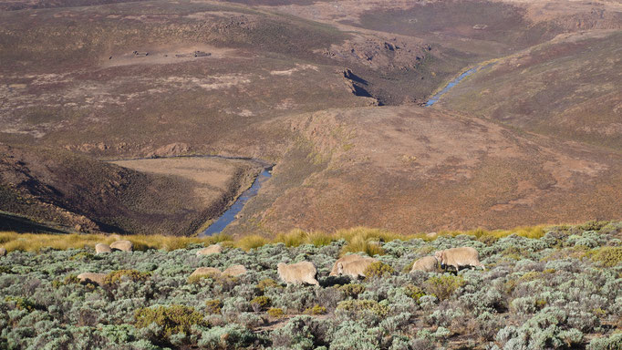 Entre Sani et Sehlabathebe ; Lesotho. Voyage Maxime Lelièvre