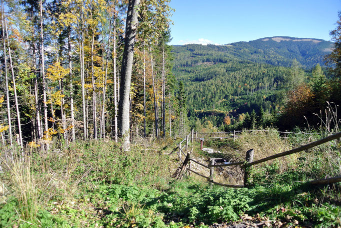 Semmeringgebiet, Bärenkogel