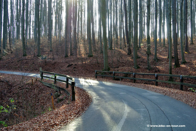 Wienerwald