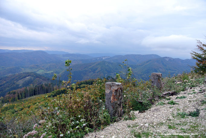 Triestingtal, Hocheck Höhenstraße (mautpflichtig)