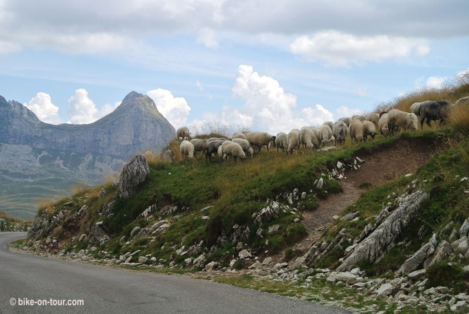 Balkan 2014 • Montenegro • Durmitor Nationalpark