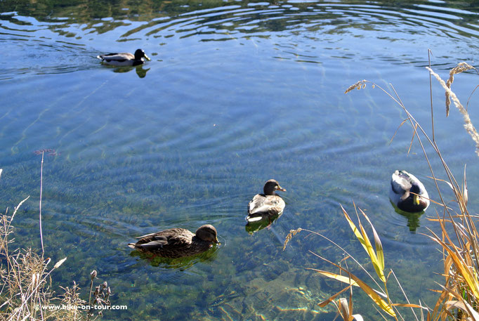 Mariazellerland, Hubertussee