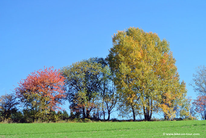 Steirisches Joglland, Wechselgebiet