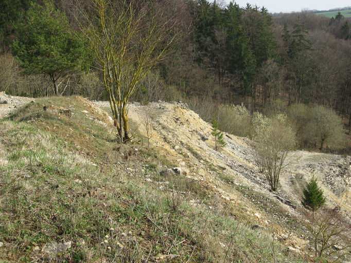 BMW-Enduropark Hechlingen, Deutschland