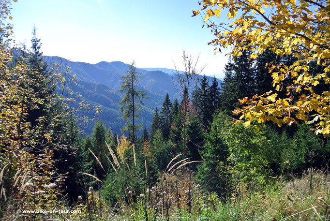 Semmeringgebiet, Bärenkogel