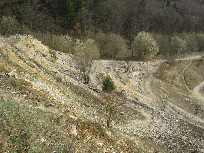 BMW-Enduropark Hechlingen, Deutschland