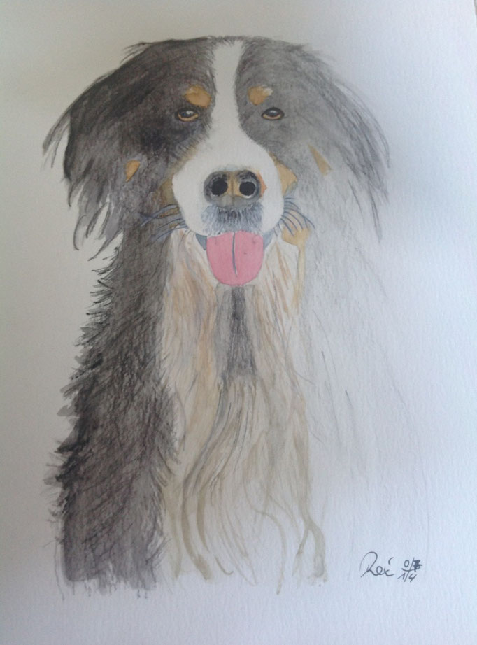 ... und Sandy ging ins Licht, Aquarell