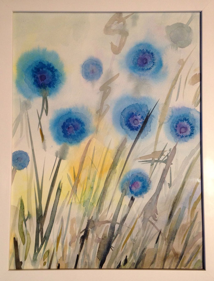 Kornblumen, Aquarell
