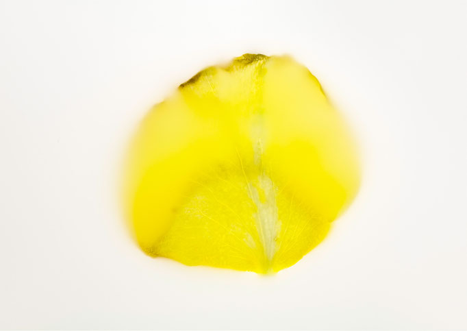 Gelb 2