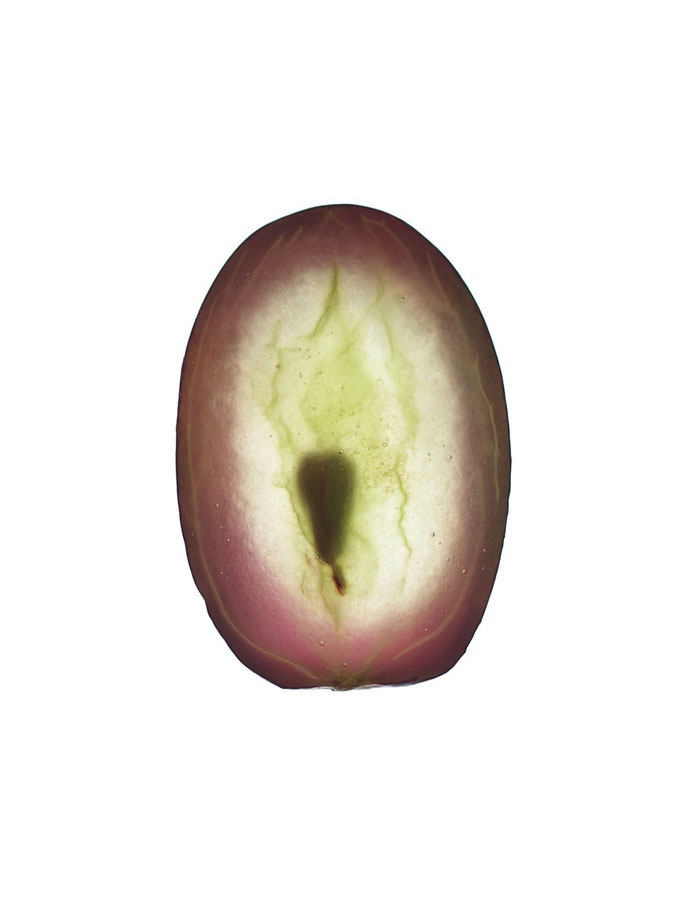 Inés