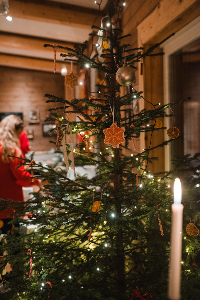 The christmastree from our forrest 