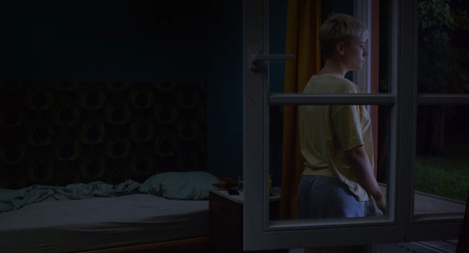 Filmstill "Schwarmtiere"
