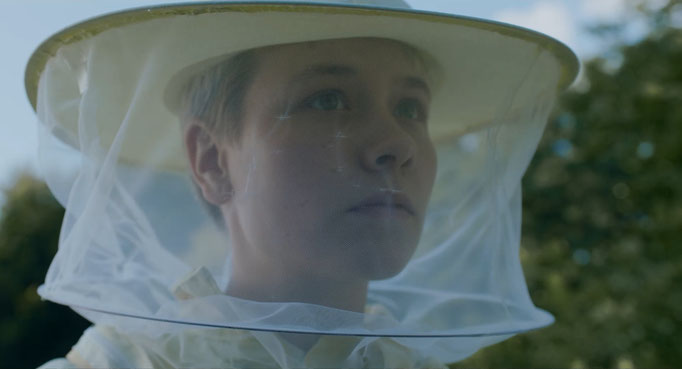 Filmstill "Schwarmtiere"