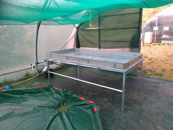 table en inox pour spiruline