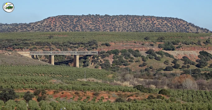 Puente de ferrocarril sobre el río Guarrizas y cerro Martinete