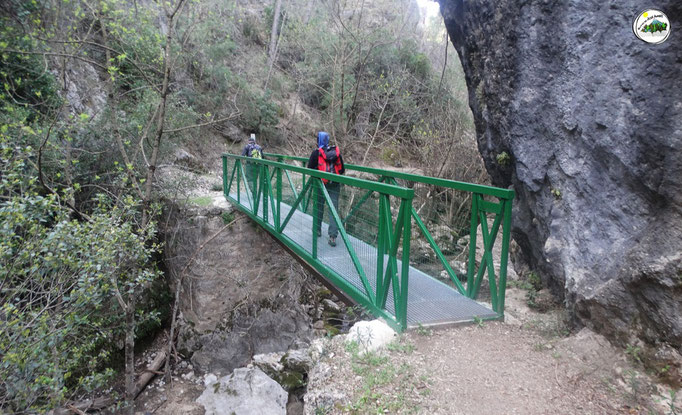 Puente de hierro sobre el río Aguamula