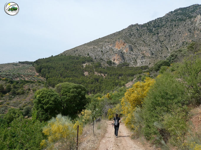 Camino del Castellón