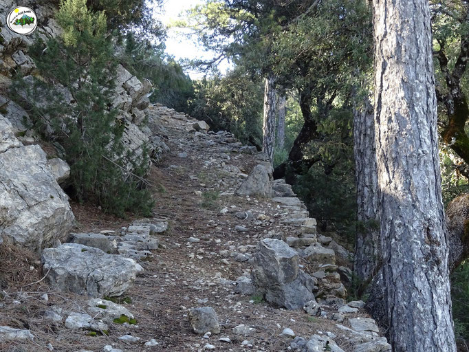 Viejo camino de herradura que va bajo los Poyos de Guadahirnillos