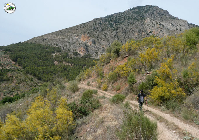 Camino del Castellón