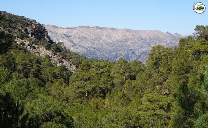 Sierra de Segura