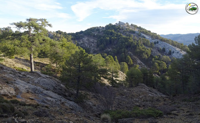 Cerro del Caballo