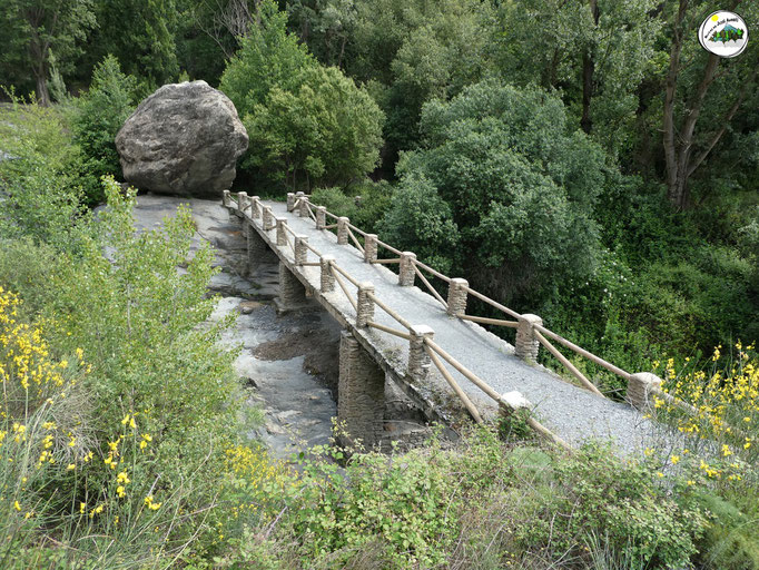 Puente del Molino de Placido