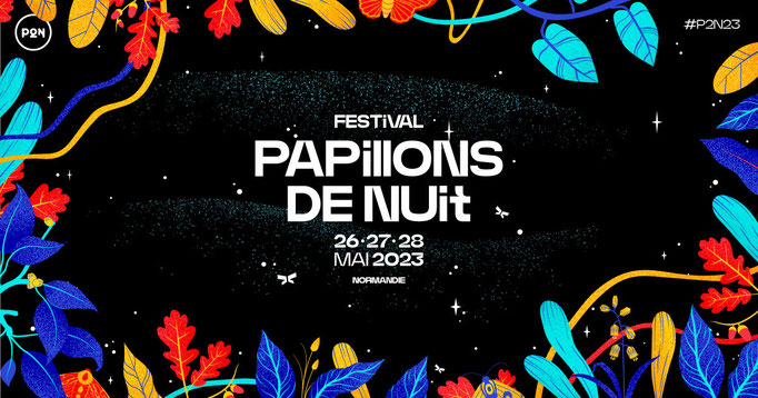 Festival Les Papillons de Nuit P2N