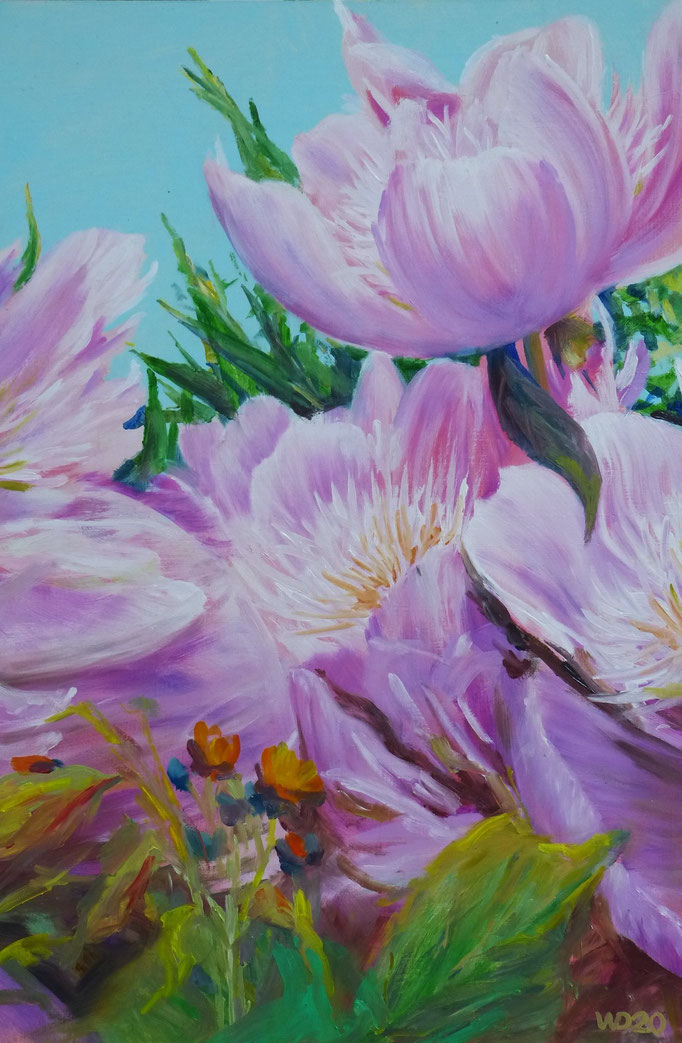 Peonies  - 40 x 60cm  Ölfarbe, 3mm MDF-Platte  120.00€