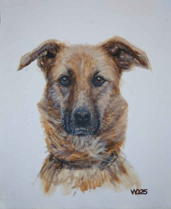 Treue - 44 x 54 cm   Acrylfarbe auf Leinwand  120.00 €