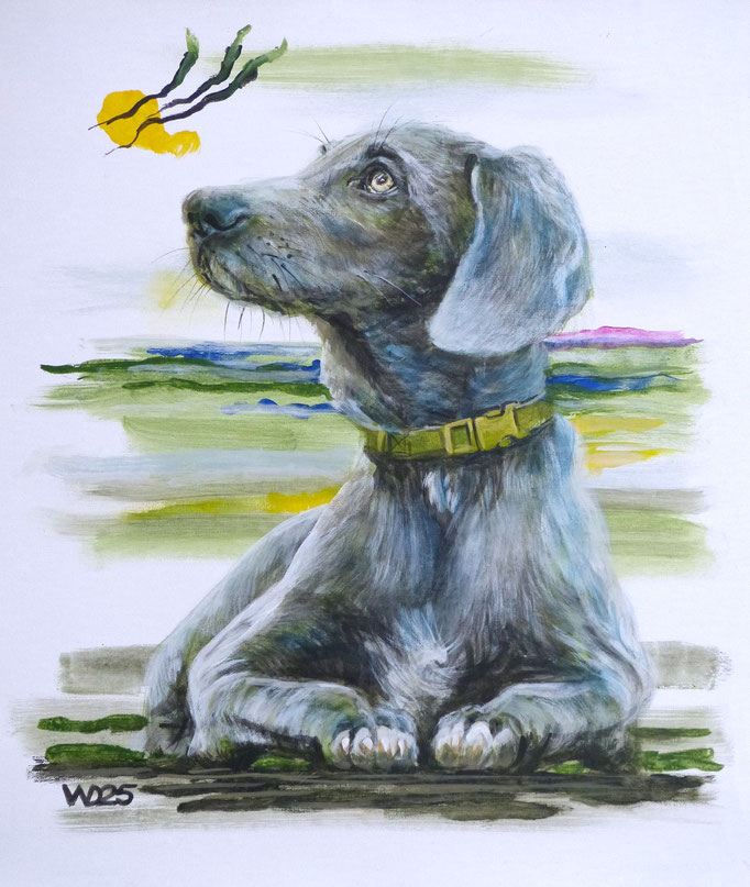 Weimaraner - 46 x 55 cm   Acrylfarbe auf Leinwand  120.00 €