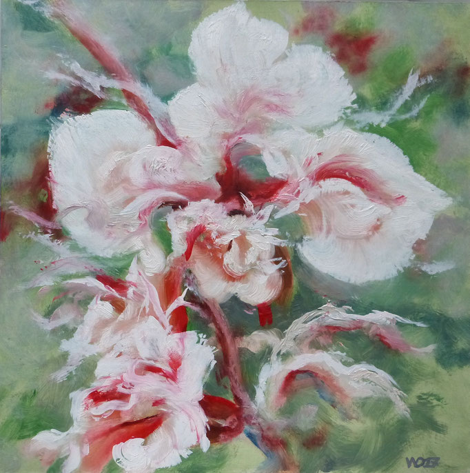 Wildblume  - 50 x 50cm  Ölfarbe,  3mm MDF-Platte   90.00€