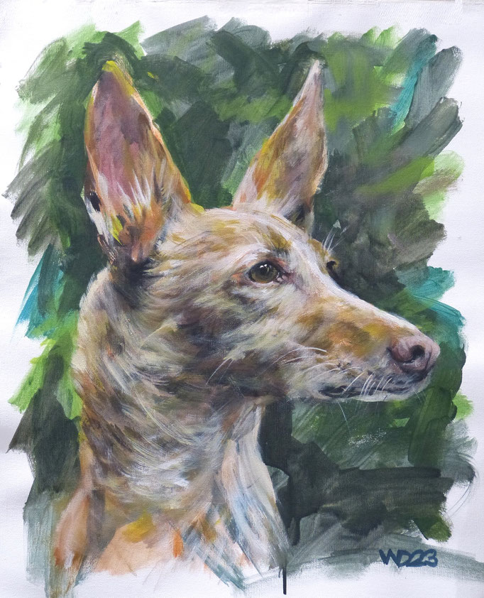 Canidae 1 - 44 x 54 cm   Acrylfarbe auf Leinwand  90.00 €