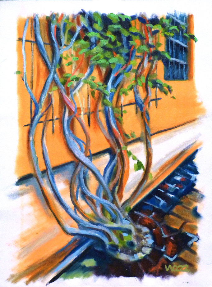 Rosen an Stadtmauer - 40 x 53 cm  Ölfarbe auf Leinwand   80.00 €
