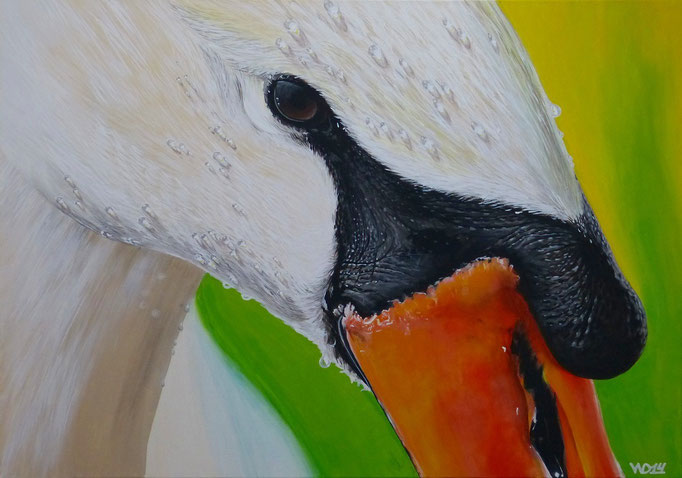 Der Schwan - 70 x 100cm Acrylfarbe, Schlussfirnis  250€