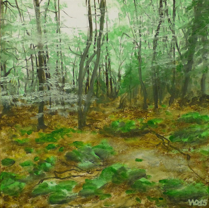 Mooswald -  40 x 40cm  Öl, Leinwand   100.00€