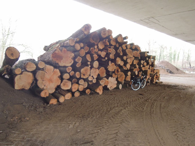 Das Holzlager unter der Brücke...